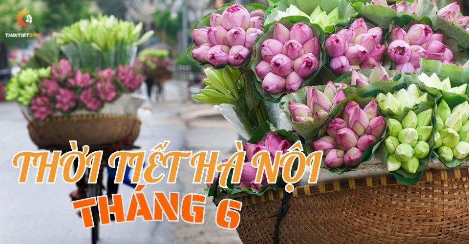 Thời tiết Hà Nội tháng 6 thế nào? Nhiệt độ Hà Nội tháng 6?